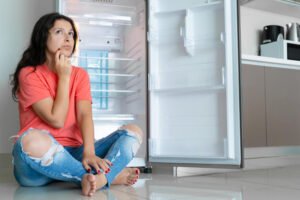 Reconheça os sinais precoces da geladeira com defeito!